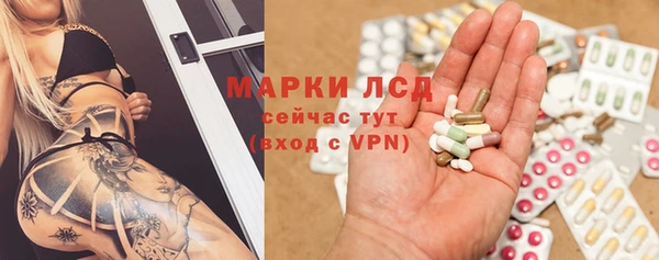 сатива Саяногорск