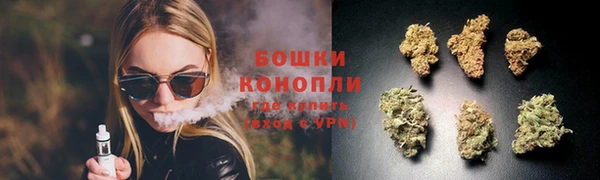 сатива Саяногорск