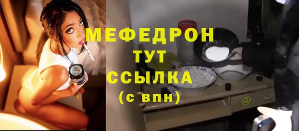 индика Рославль