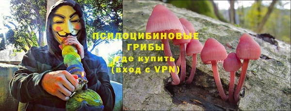 сатива Саяногорск