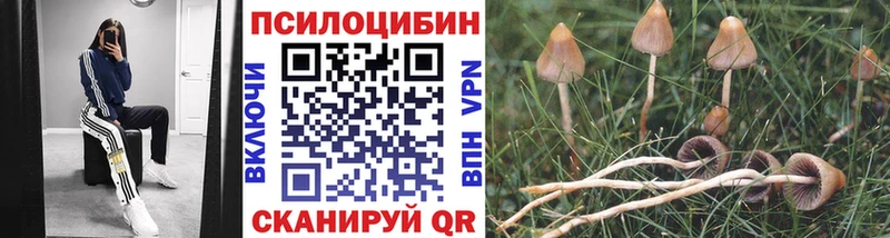 Псилоцибиновые грибы Magic Shrooms  Купить закладки  Партизанск 